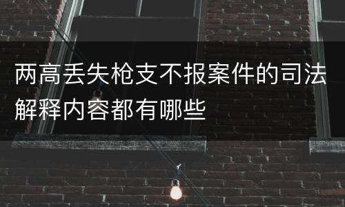 两高丢失枪支不报案件的司法解释内容都有哪些