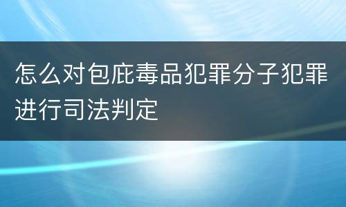 怎么对包庇毒品犯罪分子犯罪进行司法判定
