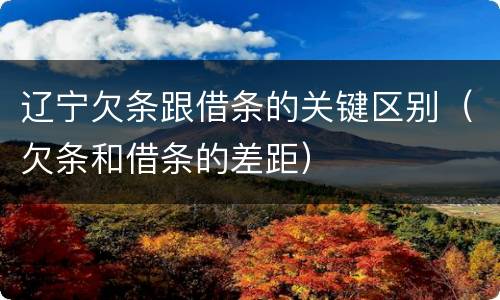 辽宁欠条跟借条的关键区别（欠条和借条的差距）