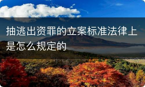 抽逃出资罪的立案标准法律上是怎么规定的