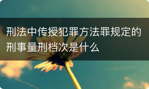 刑法中传授犯罪方法罪规定的刑事量刑档次是什么