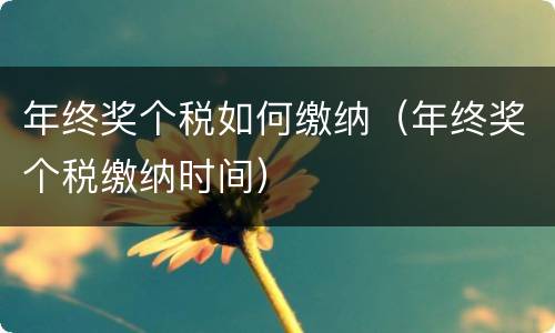 年终奖个税如何缴纳（年终奖个税缴纳时间）