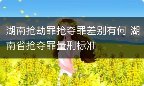 湖南抢劫罪抢夺罪差别有何 湖南省抢夺罪量刑标准