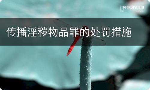 传播淫秽物品罪的处罚措施