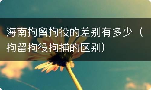 海南拘留拘役的差别有多少（拘留拘役拘捕的区别）