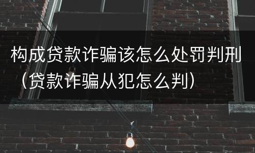 构成贷款诈骗该怎么处罚判刑（贷款诈骗从犯怎么判）