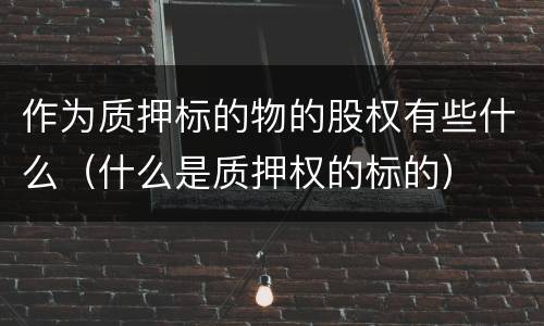 作为质押标的物的股权有些什么（什么是质押权的标的）