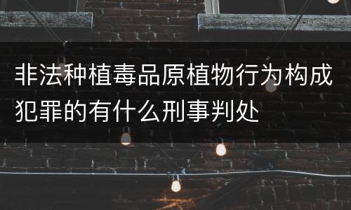 非法种植毒品原植物行为构成犯罪的有什么刑事判处