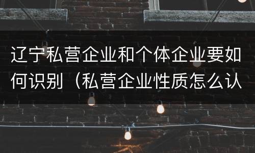 辽宁私营企业和个体企业要如何识别（私营企业性质怎么认定）