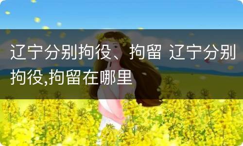 辽宁分别拘役、拘留 辽宁分别拘役,拘留在哪里