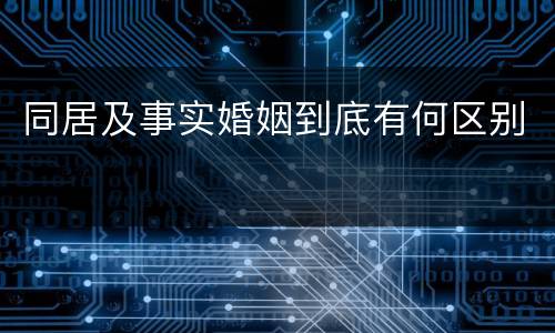 同居及事实婚姻到底有何区别