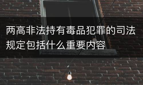 两高非法持有毒品犯罪的司法规定包括什么重要内容