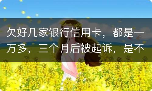 欠好几家银行信用卡，都是一万多，三个月后被起诉，是不是要判刑了