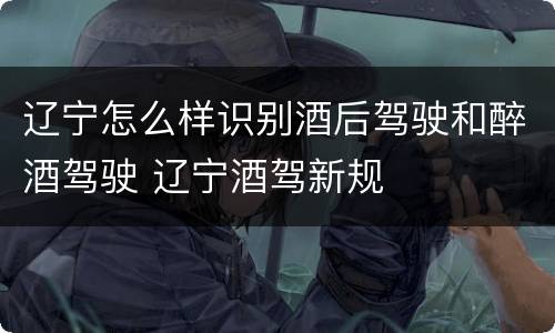 辽宁怎么样识别酒后驾驶和醉酒驾驶 辽宁酒驾新规