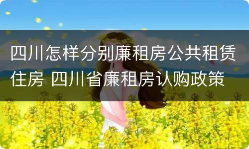 四川怎样分别廉租房公共租赁住房 四川省廉租房认购政策