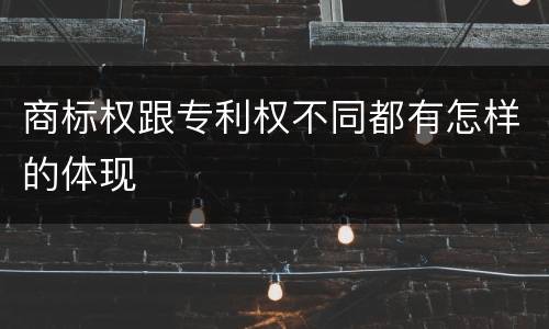 商标权跟专利权不同都有怎样的体现