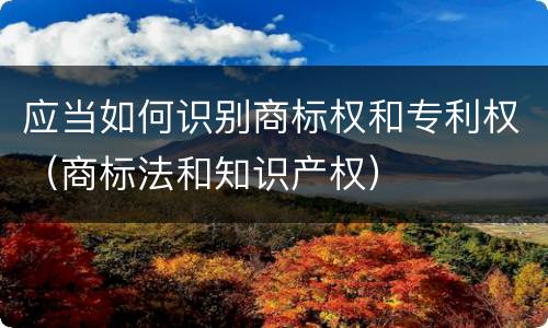 应当如何识别商标权和专利权（商标法和知识产权）