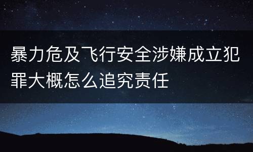 暴力危及飞行安全涉嫌成立犯罪大概怎么追究责任