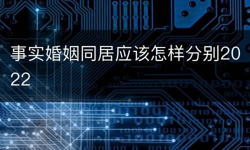 事实婚姻同居应该怎样分别2022