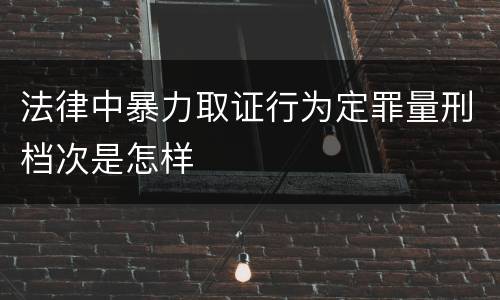 法律中暴力取证行为定罪量刑档次是怎样
