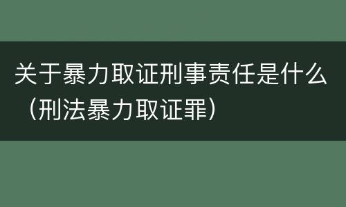 关于暴力取证刑事责任是什么（刑法暴力取证罪）