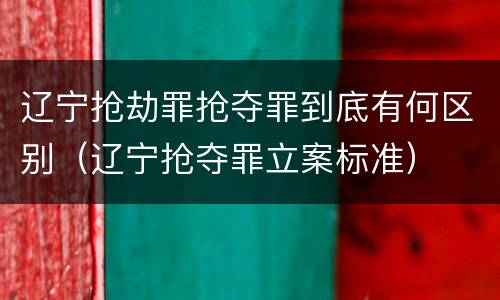 辽宁抢劫罪抢夺罪到底有何区别（辽宁抢夺罪立案标准）