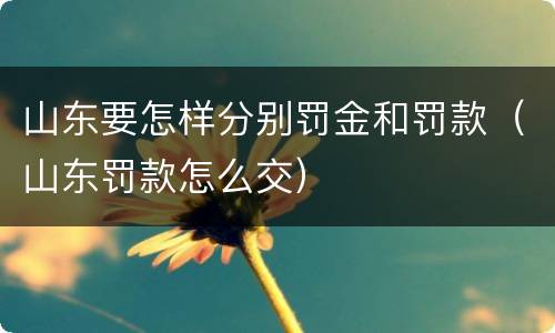山东要怎样分别罚金和罚款（山东罚款怎么交）