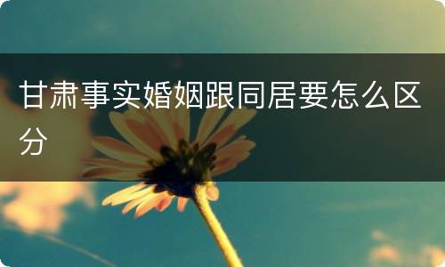 甘肃事实婚姻跟同居要怎么区分