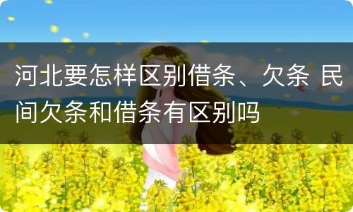 河北要怎样区别借条、欠条 民间欠条和借条有区别吗
