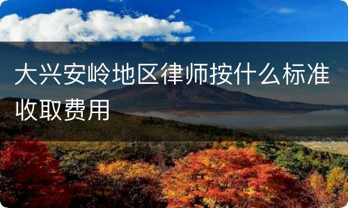 大兴安岭地区律师按什么标准收取费用