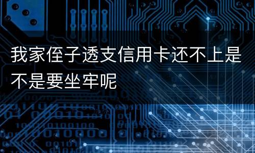 我家侄子透支信用卡还不上是不是要坐牢呢