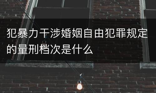 犯暴力干涉婚姻自由犯罪规定的量刑档次是什么