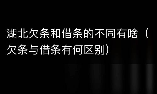 湖北欠条和借条的不同有啥（欠条与借条有何区别）