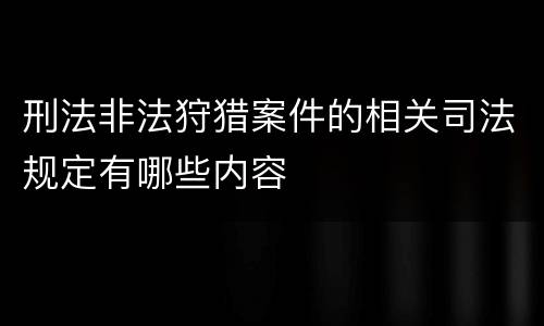 刑法非法狩猎案件的相关司法规定有哪些内容