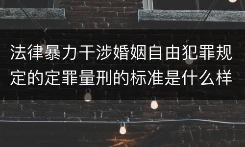 法律暴力干涉婚姻自由犯罪规定的定罪量刑的标准是什么样的