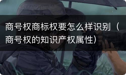 商号权商标权要怎么样识别（商号权的知识产权属性）