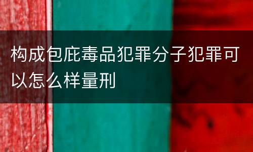 构成包庇毒品犯罪分子犯罪可以怎么样量刑
