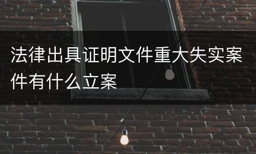 法律出具证明文件重大失实案件有什么立案
