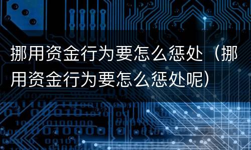 挪用资金行为要怎么惩处（挪用资金行为要怎么惩处呢）