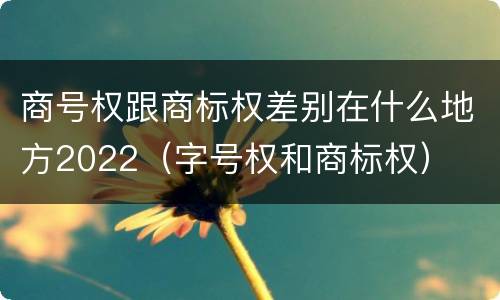 商号权跟商标权差别在什么地方2022（字号权和商标权）