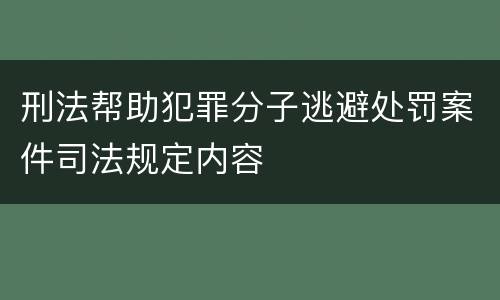 刑法帮助犯罪分子逃避处罚案件司法规定内容