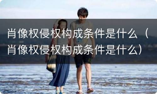肖像权侵权构成条件是什么（肖像权侵权构成条件是什么）