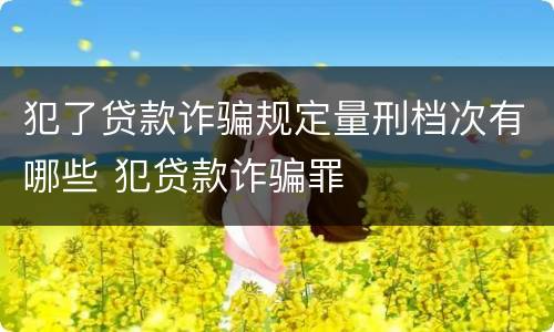犯了贷款诈骗规定量刑档次有哪些 犯贷款诈骗罪