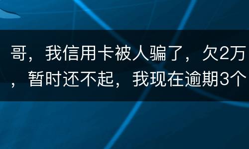 哥，我信用卡被人骗了，欠2万，暂时还不起，我现在逾期3个月了？我会不会坐牢。