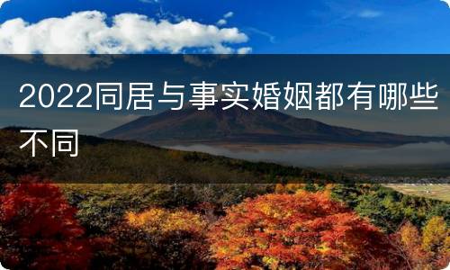 2022同居与事实婚姻都有哪些不同