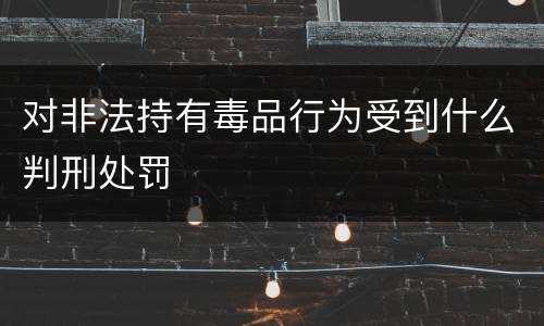 对非法持有毒品行为受到什么判刑处罚
