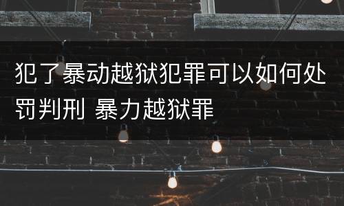 犯了暴动越狱犯罪可以如何处罚判刑 暴力越狱罪