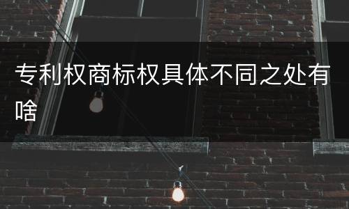 专利权商标权具体不同之处有啥