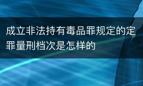成立非法持有毒品罪规定的定罪量刑档次是怎样的