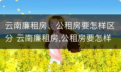 云南廉租房、公租房要怎样区分 云南廉租房,公租房要怎样区分呢